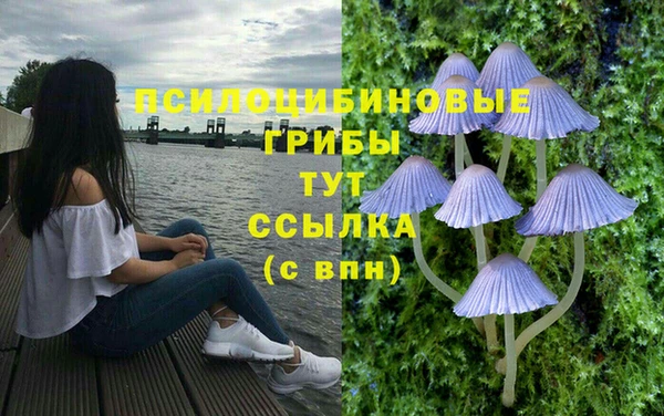 jwh Алзамай
